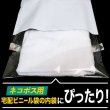 画像5: 透明ビニール封筒 CPP(シーピーピー) ネコポス用 空気穴付 (5)